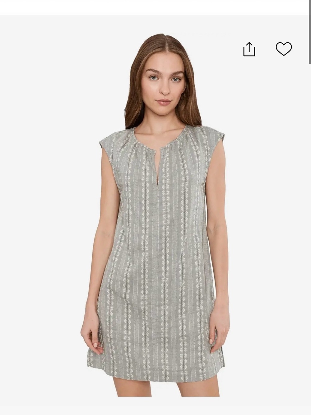 Splendid Meadow Mini Dress